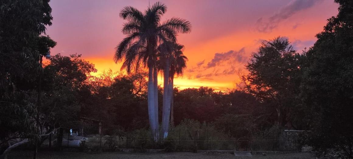 Hotel Nudista Familiar - Luz De Luna Nude Resort Tehuixtla Dış mekan fotoğraf